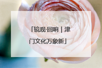 镜观·回响｜津门文化万象新