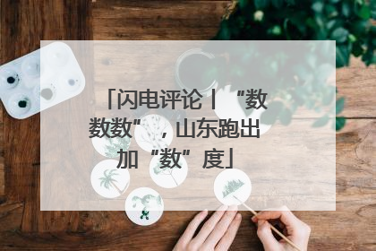 闪电评论丨“数数数”，山东跑出加“数”度