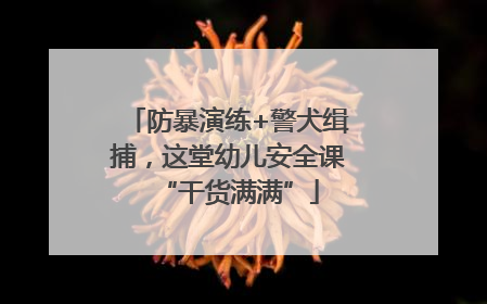 防暴演练+警犬缉捕，这堂幼儿安全课“干货满满”