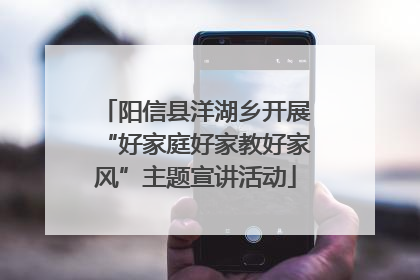 阳信县洋湖乡开展“好家庭好家教好家风”主题宣讲活动
