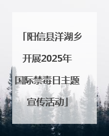 阳信县洋湖乡开展2025年国际禁毒日主题宣传活动