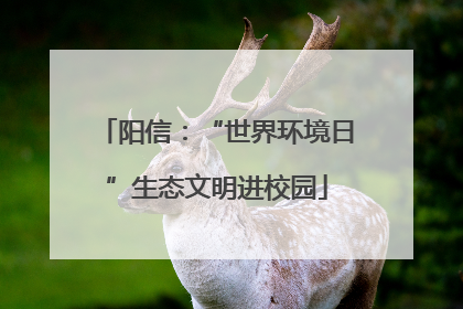 阳信：“世界环境日”生态文明进校园
