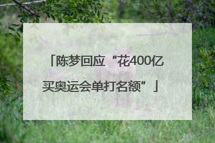 陈梦回应“花400亿买奥运会单打名额”