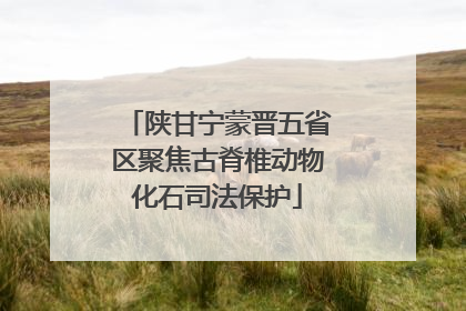 陕甘宁蒙晋五省区聚焦古脊椎动物化石司法保护