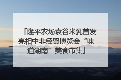 隆平农场袁谷米乳首发亮相中非经贸博览会“味道湖南”美食市集