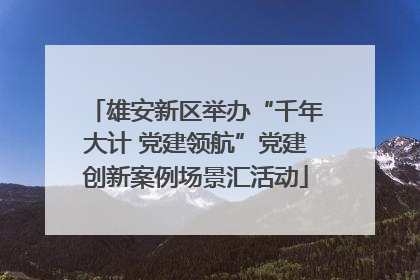 雄安新区举办“千年大计 党建领航”党建创新案例场景汇活动