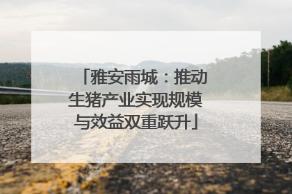雅安雨城：推动生猪产业实现规模与效益双重跃升