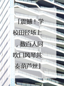 震撼！学校田径场上，数百人同吹口风琴共奏葫芦丝