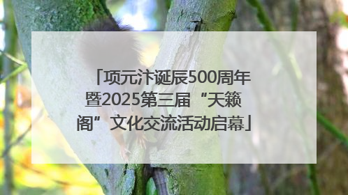 项元汴诞辰500周年暨2025第三届“天籁阁”文化交流活动启幕