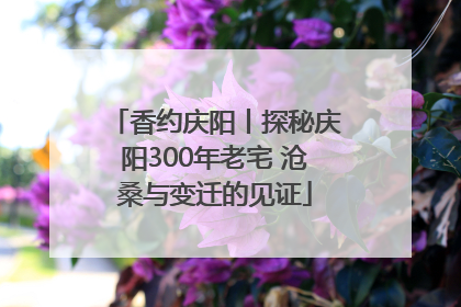 香约庆阳丨探秘庆阳300年老宅 沧桑与变迁的见证