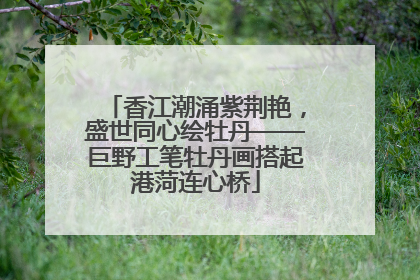 香江潮涌紫荆艳，盛世同心绘牡丹——巨野工笔牡丹画搭起港菏连心桥