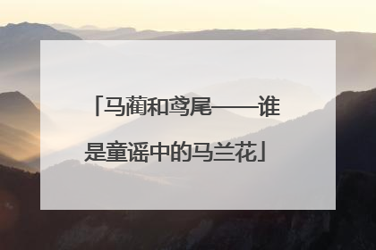 马蔺和鸢尾——谁是童谣中的马兰花