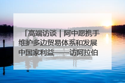 高端访谈｜阿中愿携手维护多边贸易体系和发展中国家利益——访阿拉伯议会议长亚马希