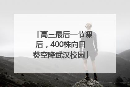 高三最后一节课后，400株向日葵空降武汉校园