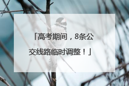 高考期间，8条公交线路临时调整！