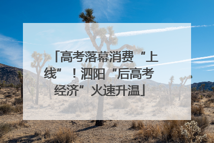 高考落幕消费“上线”！泗阳“后高考经济”火速升温