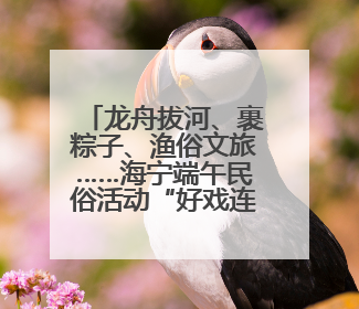 龙舟拔河、裹粽子、渔俗文旅……海宁端午民俗活动“好戏连台”