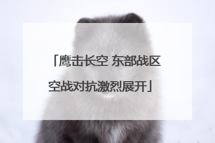 鹰击长空 东部战区空战对抗激烈展开