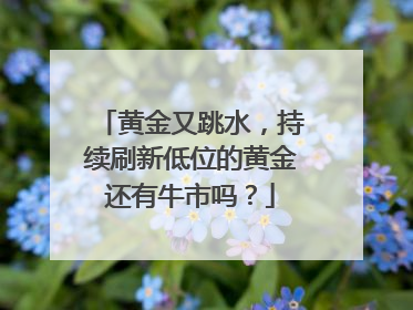 黄金又跳水，持续刷新低位的黄金还有牛市吗？
