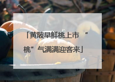 黄陂早鲜桃上市 “桃”气满满迎客来