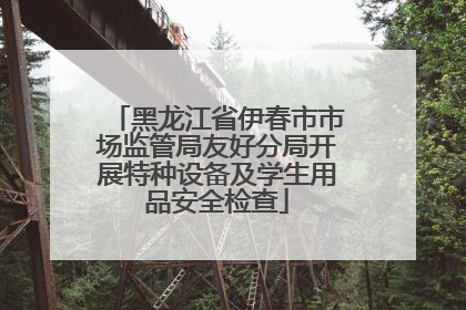 黑龙江省伊春市市场监管局友好分局开展特种设备及学生用品安全检查