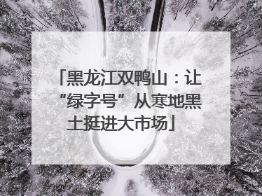 黑龙江双鸭山：让“绿字号”从寒地黑土挺进大市场