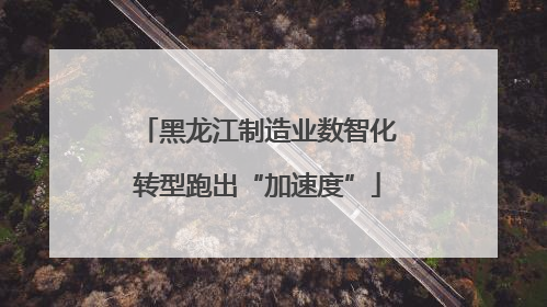 黑龙江制造业数智化转型跑出“加速度”