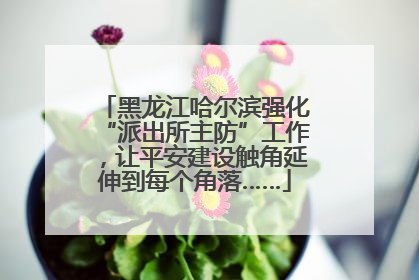 黑龙江哈尔滨强化“派出所主防”工作，让平安建设触角延伸到每个角落……