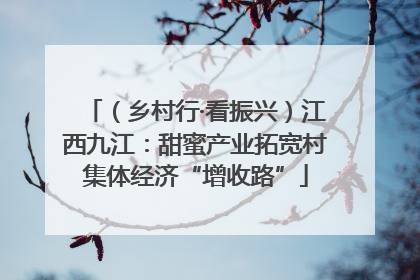 （乡村行·看振兴）江西九江：甜蜜产业拓宽村集体经济“增收路”