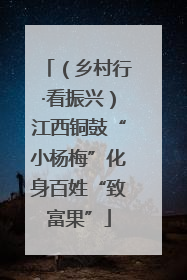 （乡村行·看振兴）江西铜鼓“小杨梅”化身百姓“致富果”