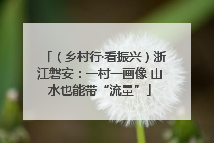 （乡村行·看振兴）浙江磐安：一村一画像 山水也能带“流量”