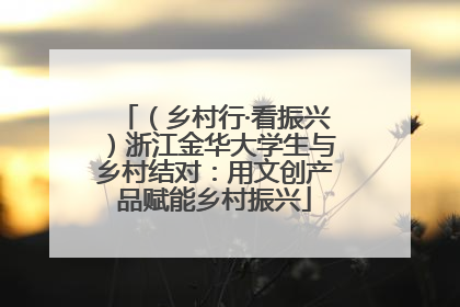（乡村行·看振兴）浙江金华大学生与乡村结对：用文创产品赋能乡村振兴