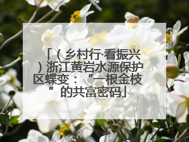 （乡村行·看振兴）浙江黄岩水源保护区蝶变：“一根金枝”的共富密码