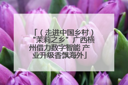 （走进中国乡村）“茉莉之乡”广西横州借力数字智能 产业升级香飘海外