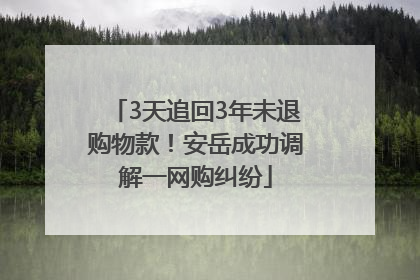 3天追回3年未退购物款！安岳成功调解一网购纠纷