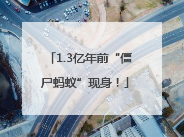 1.3亿年前“僵尸蚂蚁”现身！