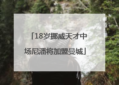 18岁挪威天才中场尼潘将加盟曼城