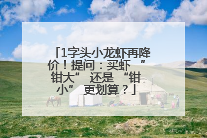 1字头小龙虾再降价！提问：买虾 “钳大” 还是 “钳小” 更划算？