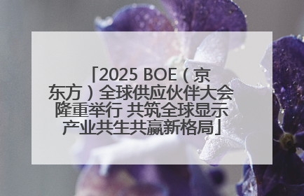2025 BOE（京东方）全球供应伙伴大会隆重举行 共筑全球显示产业共生共赢新格局