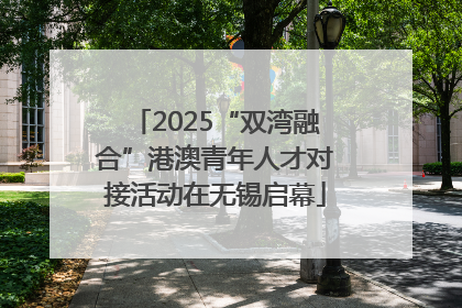 2025“双湾融合”港澳青年人才对接活动在无锡启幕