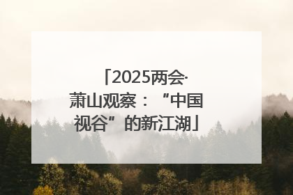 2025两会·萧山观察：“中国视谷”的新江湖