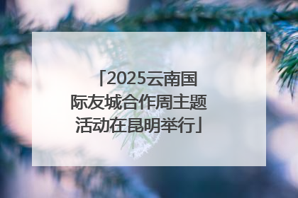 2025云南国际友城合作周主题活动在昆明举行