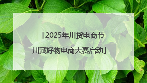 2025年川货电商节川藏好物电商大赛启动