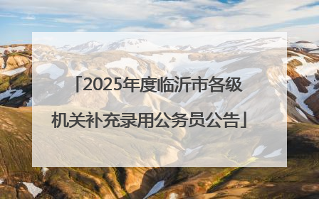 2025年度临沂市各级机关补充录用公务员公告