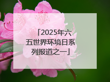 2025年六五世界环境日系列报道之一