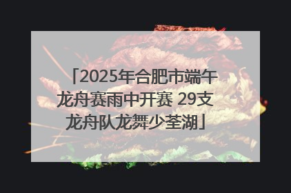 2025年合肥市端午龙舟赛雨中开赛 29支龙舟队龙舞少荃湖