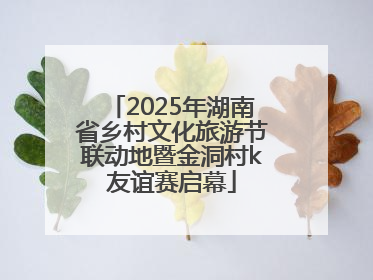 2025年湖南省乡村文化旅游节联动地暨金洞村k友谊赛启幕