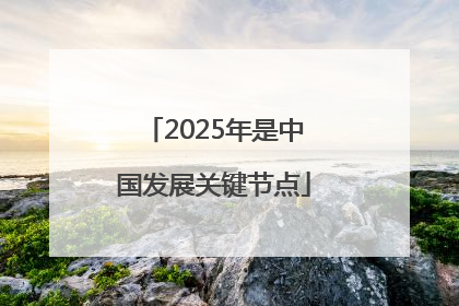 2025年是中国发展关键节点