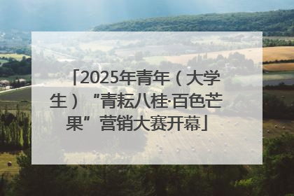 2025年青年（大学生）“青耘八桂·百色芒果”营销大赛开幕