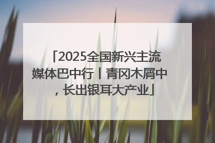 2025全国新兴主流媒体巴中行丨青冈木屑中，长出银耳大产业